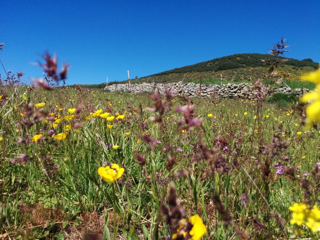 נאבארדונדה דה גרדוס Hostal Refugio De Gredos מראה חיצוני תמונה