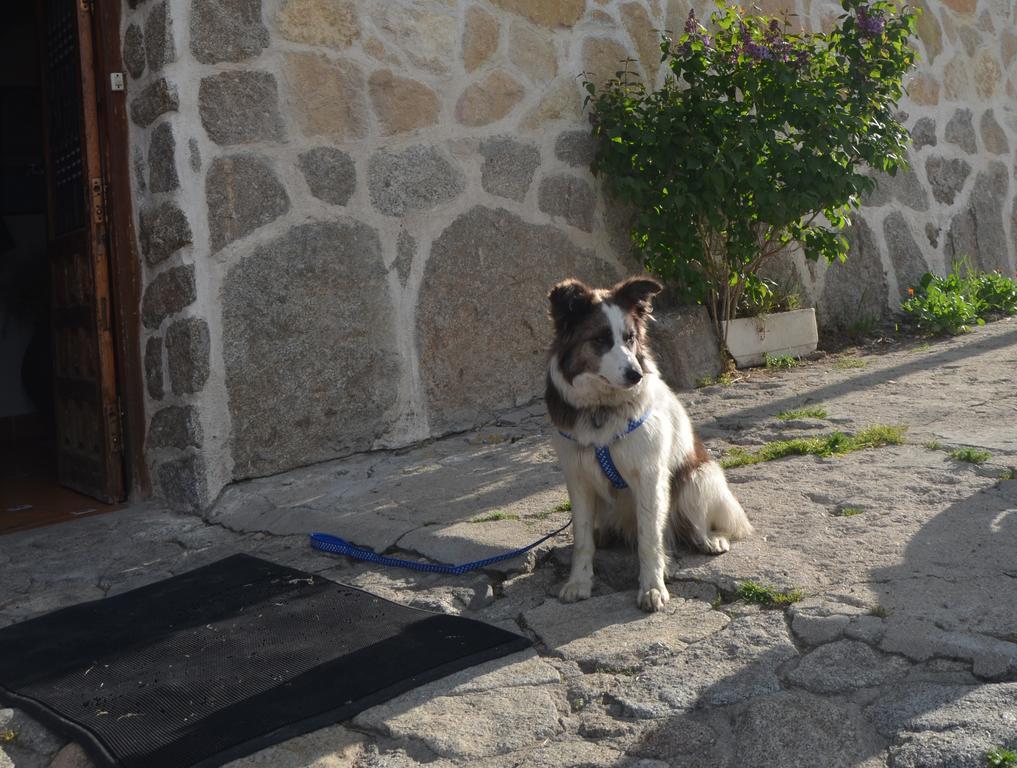 נאבארדונדה דה גרדוס Hostal Refugio De Gredos מראה חיצוני תמונה