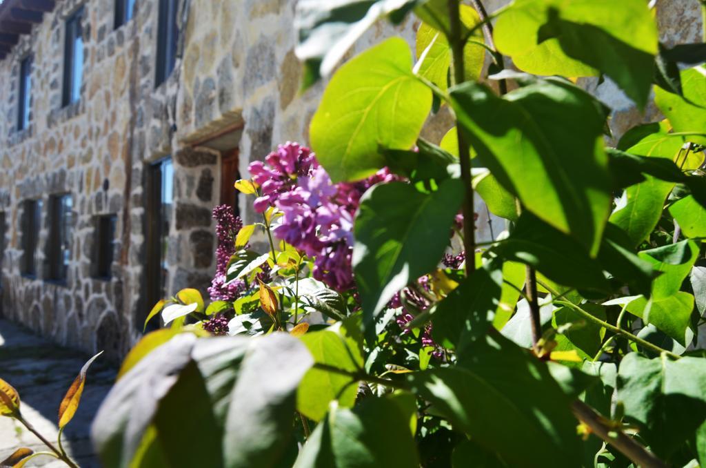 נאבארדונדה דה גרדוס Hostal Refugio De Gredos מראה חיצוני תמונה