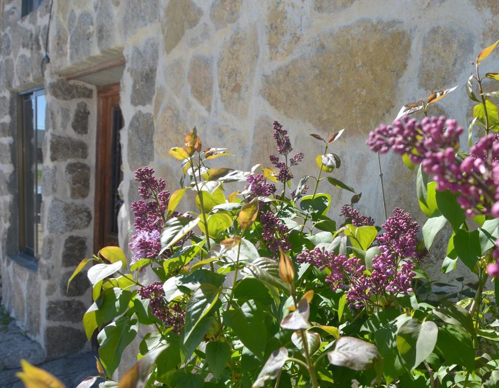 נאבארדונדה דה גרדוס Hostal Refugio De Gredos מראה חיצוני תמונה